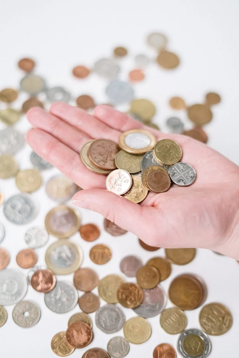 Comment changer ses francs suisses en euros ?