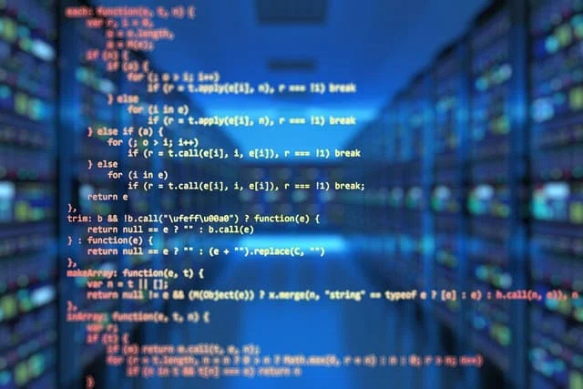 Top 5 des langages de programmation à connaître pour maitriser la conception Web