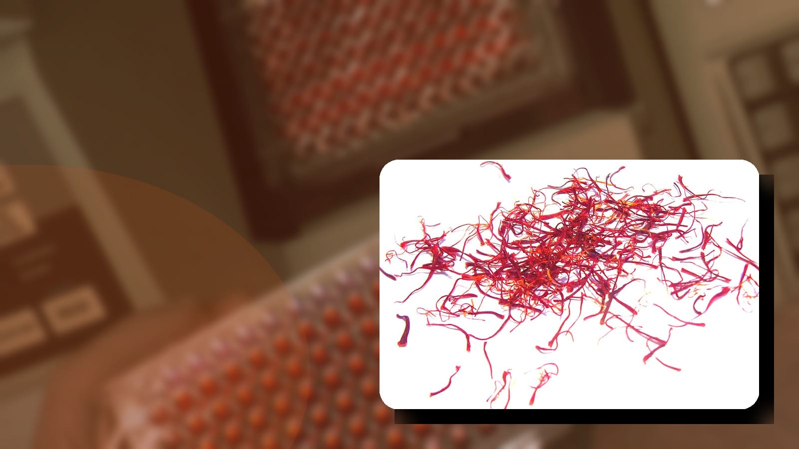 Comment l’extrait instantané de safran transforme l’industrie agroalimentaire et pharmaceutique