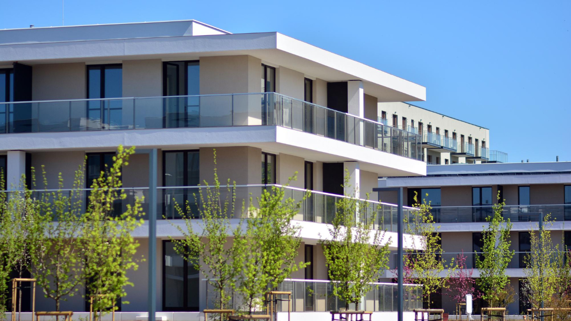 Comparaison des programmes immobiliers neufs au Pays Basque : où acheter selon son budget ?